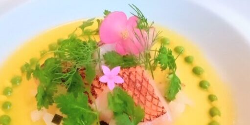 Seared fish on a yellow sauce with green pea dots, fresh herbs, and pink edible flowers garnish on a plate